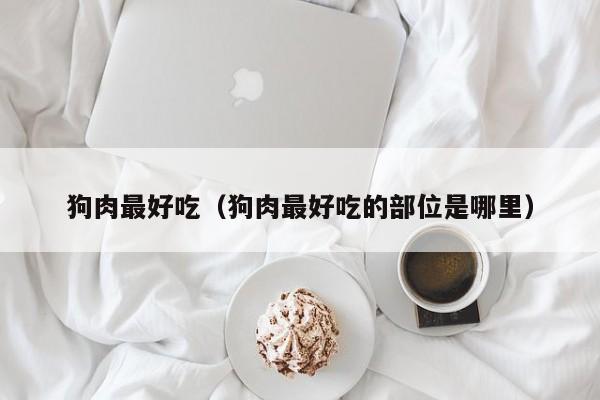 狗肉最好吃(狗肉最好吃的部位是哪里)