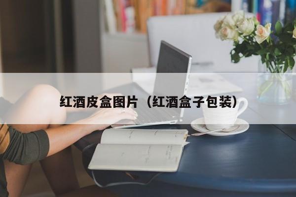 红酒皮盒图片(红酒盒子包装)