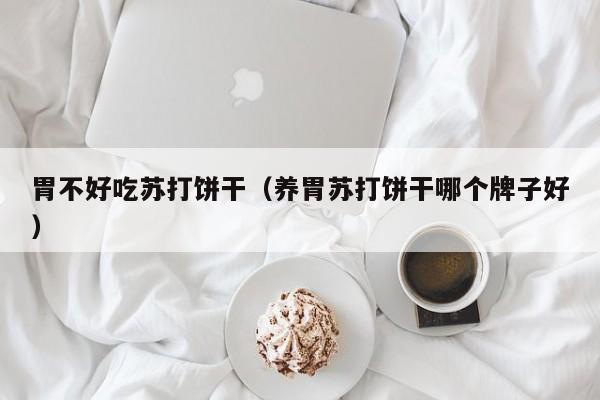 胃不好吃苏打饼干(养胃苏打饼干哪个牌子好)
