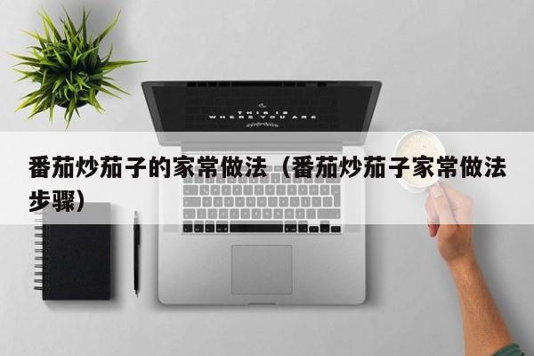 番茄炒茄子的家常做法(番茄炒茄子家常做法步骤)