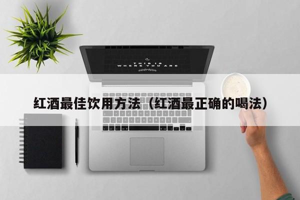 红酒最佳饮用方法(红酒最正确的喝法)